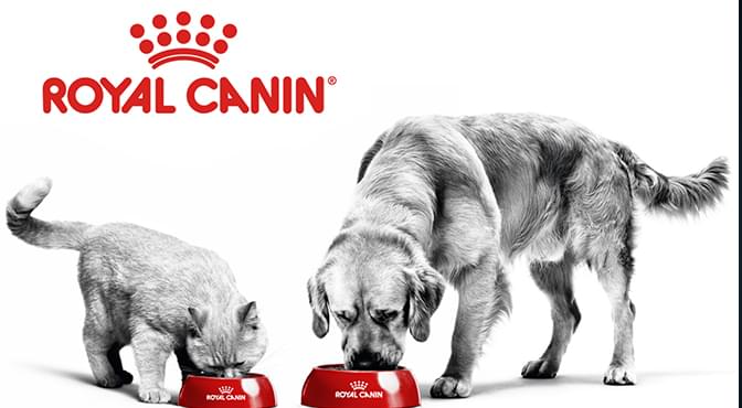 Royal Canin implemented Microsoft Dynamics NAV with the help of Odyssey Consulting Group