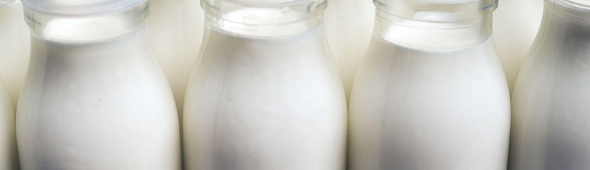 Управление цепочками поставок для молочной отрасли: свежие решения